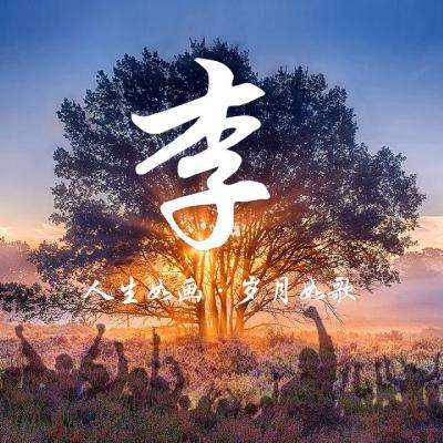 M6米乐APP下载