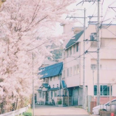 亚搏全站APP官网下载