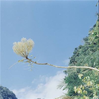 Kaiyun(云开)体育App截图