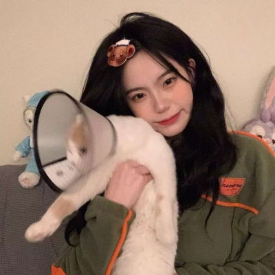澳门4949资料免费大全app下载