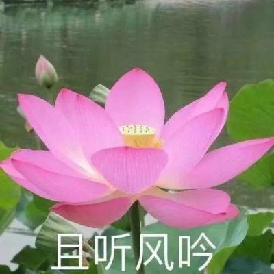 风云体育下载
