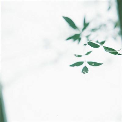 金年会体育APP下载
